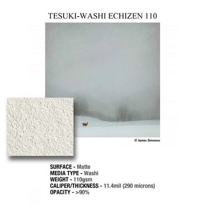 Tesuki-Washi Echizen